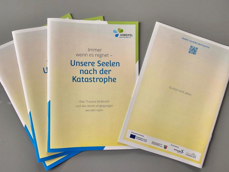 Broschüre: Was Trauma bedeutet und wie damit umgegangen werden kann