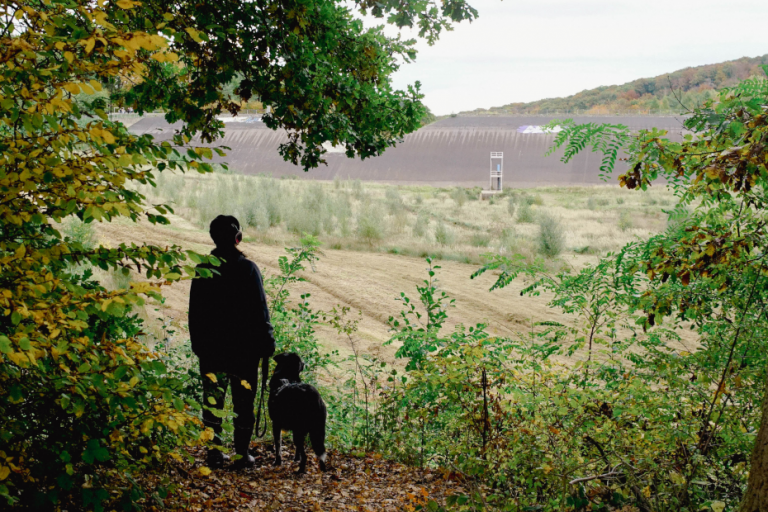 Audiowalk an der Steinbachtalsperre