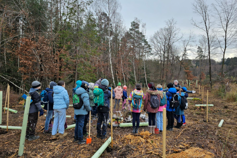 Pflanzen. Lernen. Handeln. – Umweltbildung und Wiederbewaldung