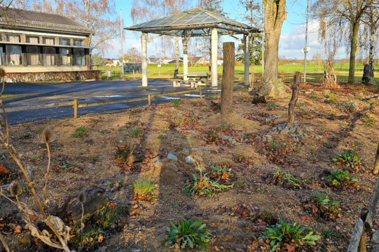 Anlegen eines strukturreichen Naturgartens