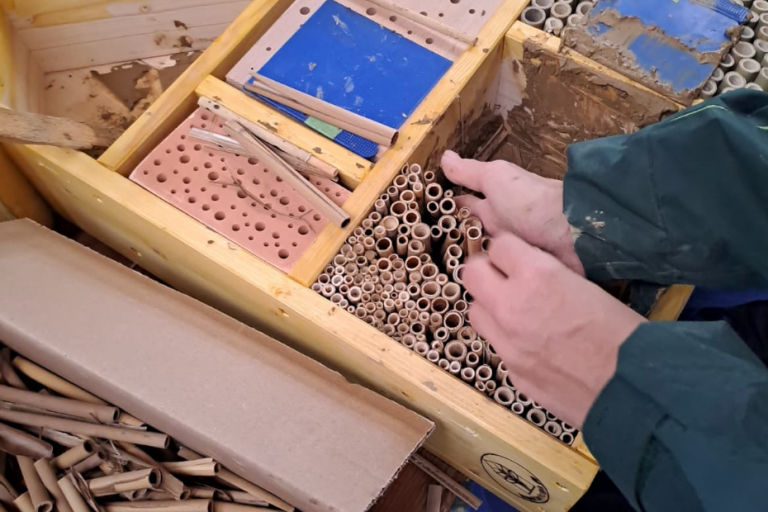 Aktionstag „Pferdehaltung für mehr Artenvielfalt“