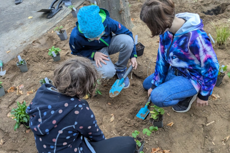 Grüne Schattenoasen auf dem Schulgelände