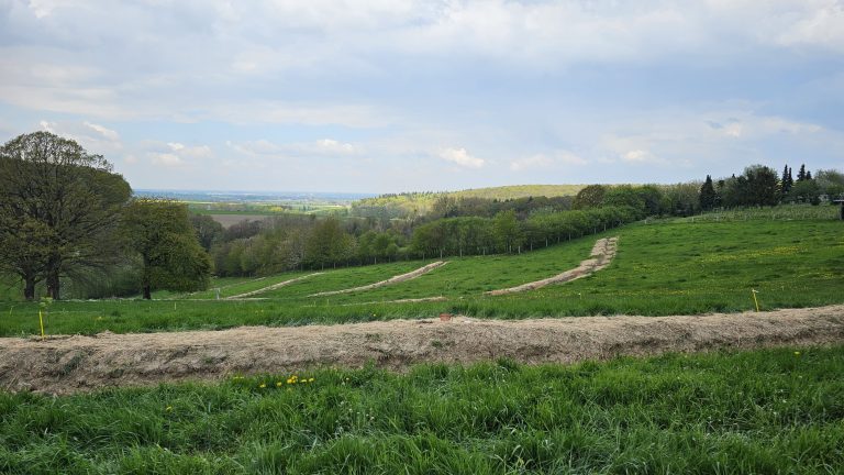 Planung eines klimawandel-resilienten Agroforstes