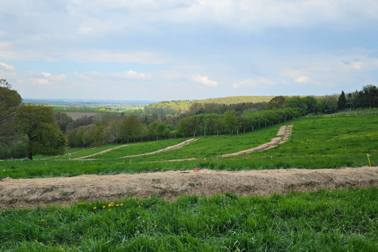 Realisierung eines klimawandel-resilienten Agroforstes