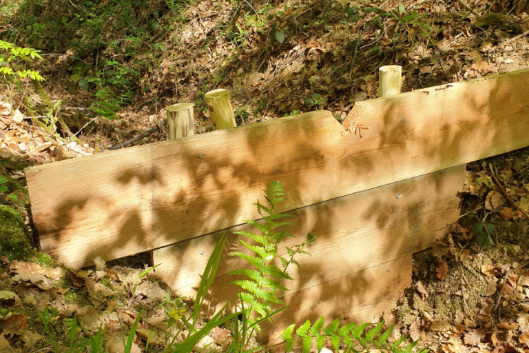 Wasserrückhalt im Wald: Gemeinsam anpacken für mehr Hochwasserschutz